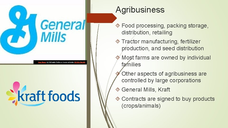 Agribusiness Food processing, packing storage, distribution, retailing Tractor manufacturing, fertilizer production, and seed distribution