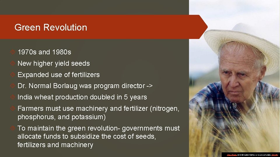 Green Revolution 1970 s and 1980 s New higher yield seeds Expanded use of