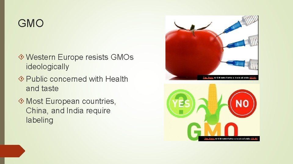 GMO Western Europe resists GMOs ideologically Public concerned with Health and taste This Photo
