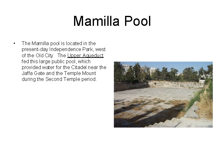 Mamilla Pool • The Mamilla pool is located in the present-day Independence Park, west