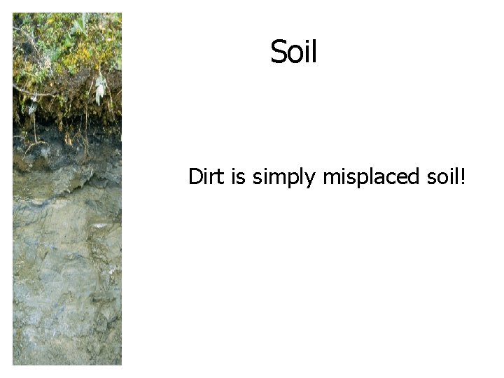 Soil Dirt is simply misplaced soil! 