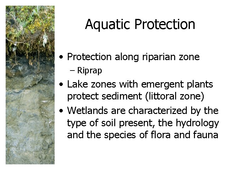 Aquatic Protection • Protection along riparian zone – Riprap • Lake zones with emergent