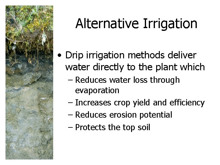 Alternative Irrigation • Drip irrigation methods deliver water directly to the plant which –