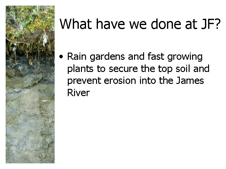 What have we done at JF? • Rain gardens and fast growing plants to