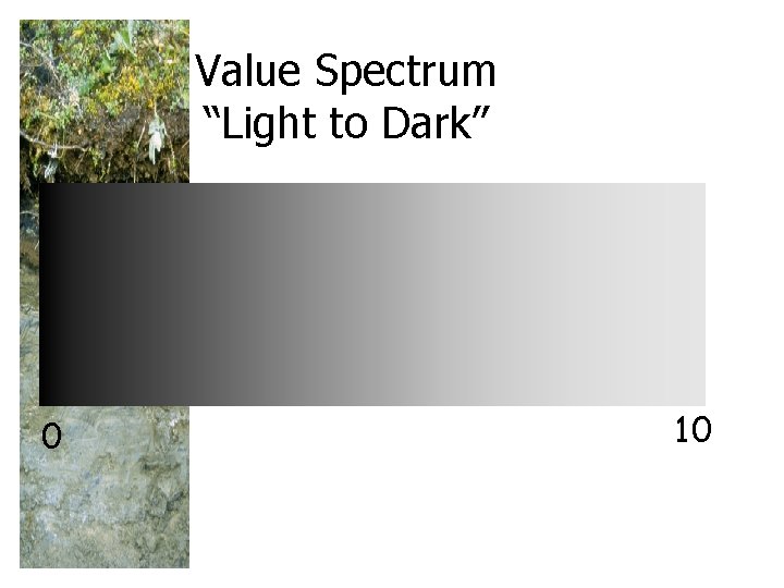 Value Spectrum “Light to Dark” 0 10 