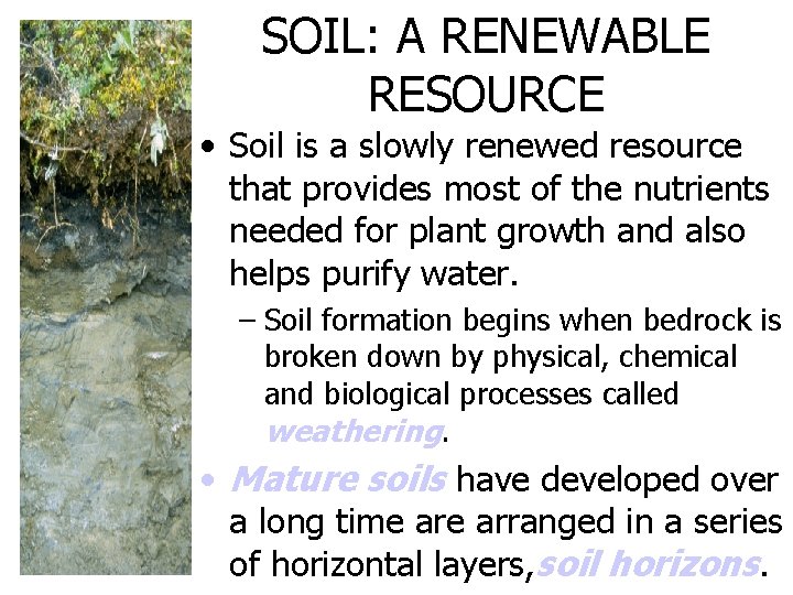 SOIL: A RENEWABLE RESOURCE • Soil is a slowly renewed resource that provides most