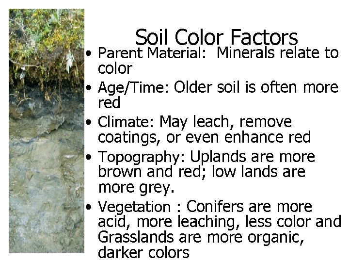 Soil Color Factors • Parent Material: Minerals relate to color • Age/Time: Older soil