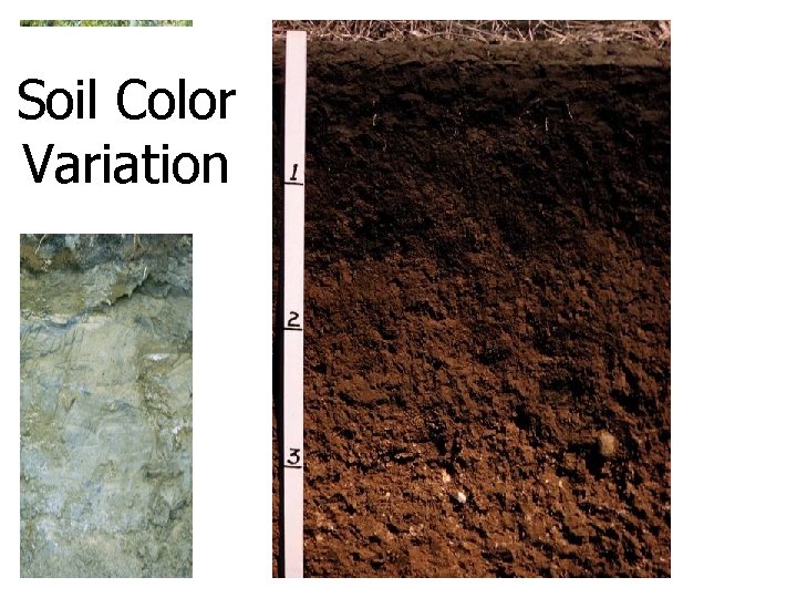 Soil Color Variation 