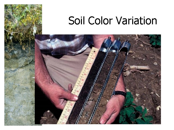 Soil Color Variation 