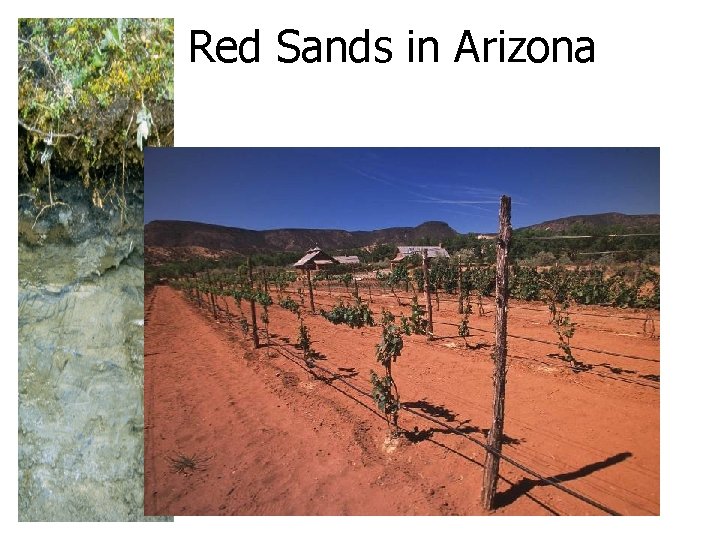 Red Sands in Arizona 