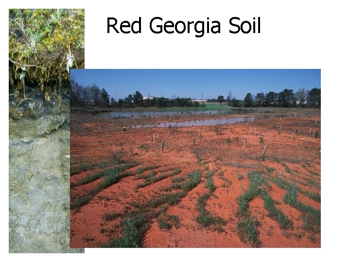 Red Georgia Soil 