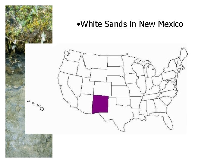 • White Sands in New Mexico 