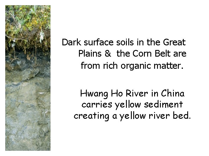 Dark surface soils in the Great Plains & the Corn Belt are from rich