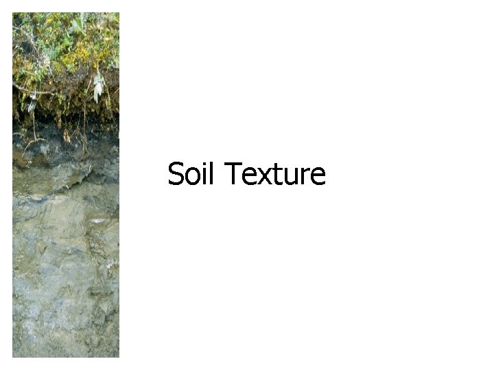 Soil Texture 