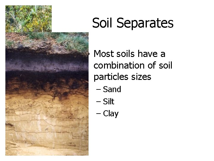 Soil Separates • Most soils have a combination of soil particles sizes – Sand