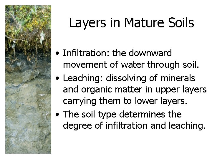 Layers in Mature Soils • Infiltration: the downward movement of water through soil. •