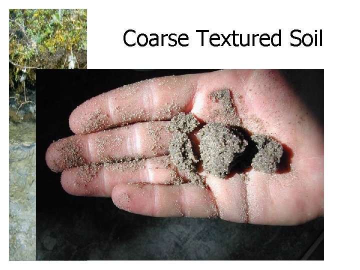 Coarse Textured Soil 