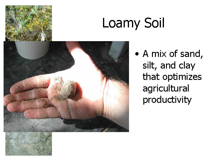 Loamy Soil • A mix of sand, silt, and clay that optimizes agricultural productivity