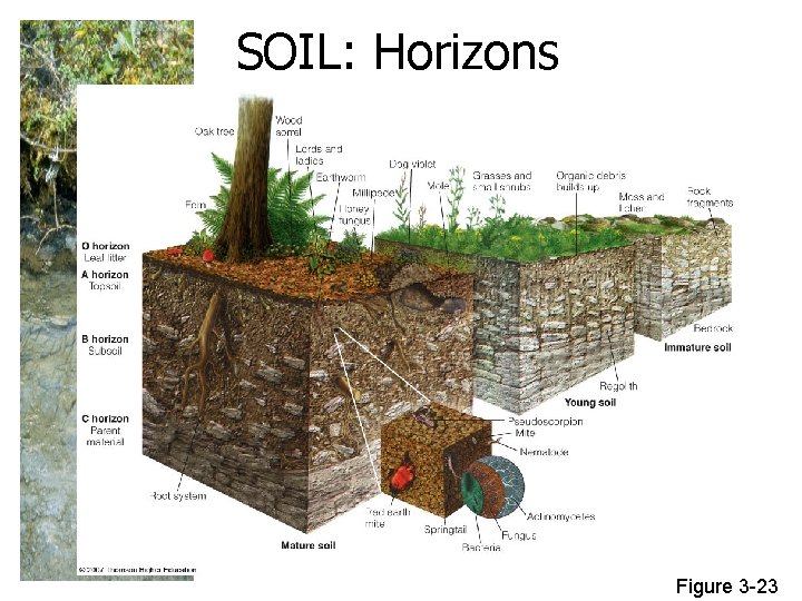 SOIL: Horizons Figure 3 -23 