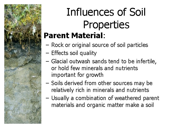 Influences of Soil Properties • Parent Material: – Rock or original source of soil