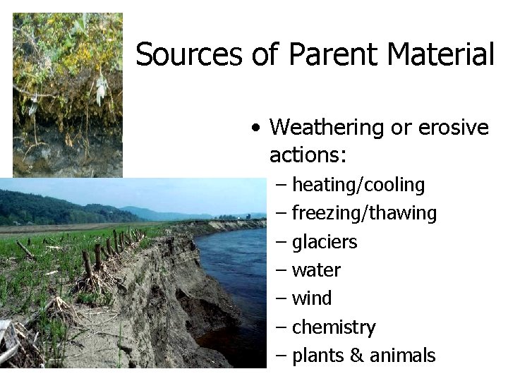 Sources of Parent Material • Weathering or erosive actions: – heating/cooling – freezing/thawing –