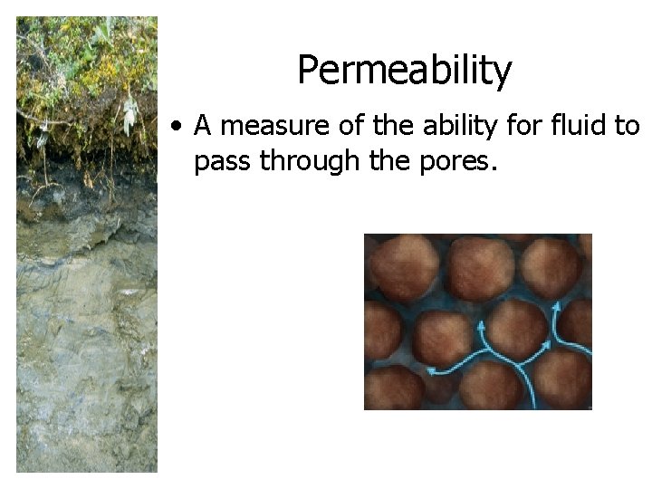 Permeability • A measure of the ability for fluid to pass through the pores.