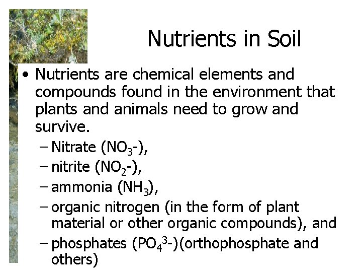 Nutrients in Soil • Nutrients are chemical elements and compounds found in the environment