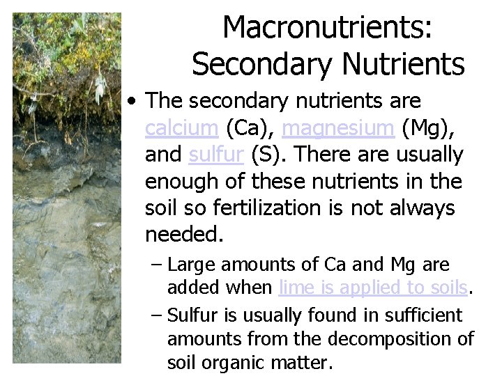 Macronutrients: Secondary Nutrients • The secondary nutrients are calcium (Ca), magnesium (Mg), and sulfur