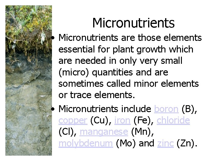 Micronutrients • Micronutrients are those elements essential for plant growth which are needed in