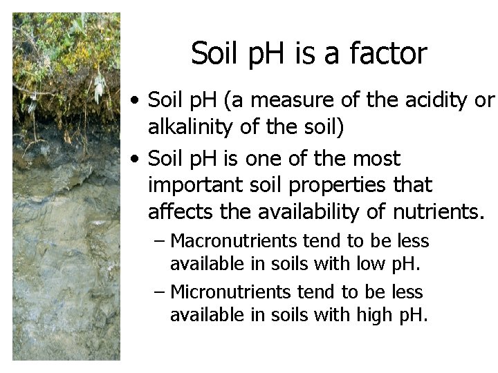 Soil p. H is a factor • Soil p. H (a measure of the