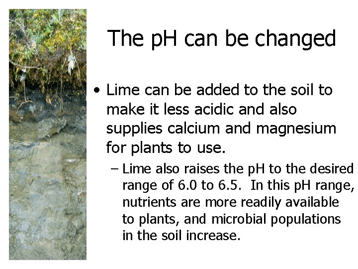 The p. H can be changed • Lime can be added to the soil