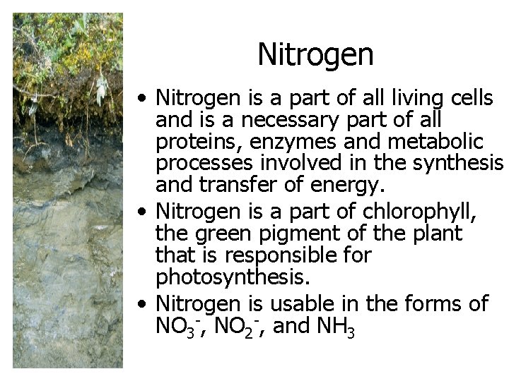 Nitrogen • Nitrogen is a part of all living cells and is a necessary