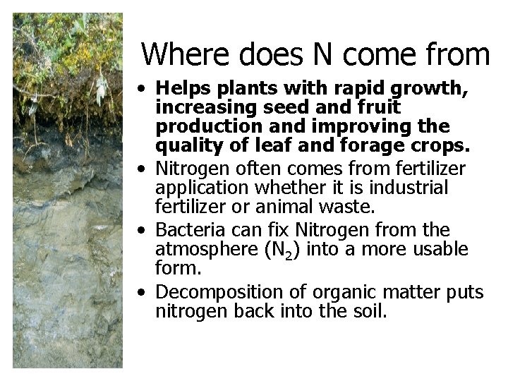 Where does N come from • Helps plants with rapid growth, increasing seed and