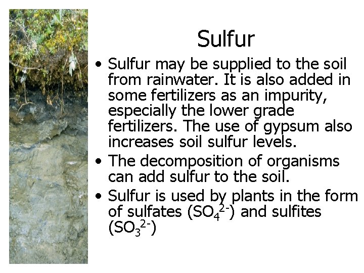 Sulfur • Sulfur may be supplied to the soil from rainwater. It is also