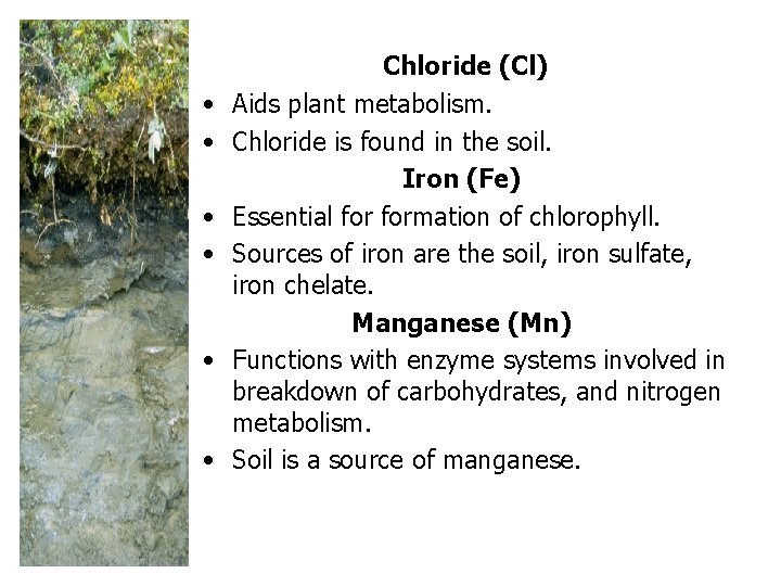  • • • Chloride (Cl) Aids plant metabolism. Chloride is found in the