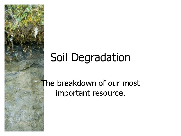 Soil Degradation The breakdown of our most important resource. 