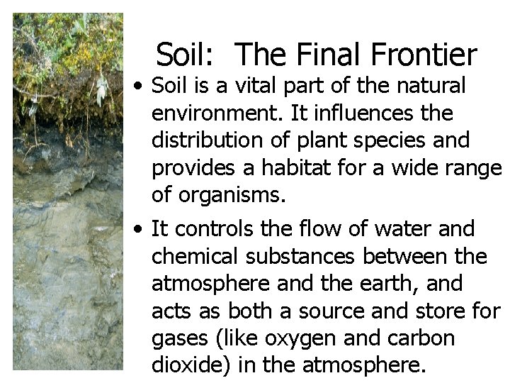 Soil: The Final Frontier • Soil is a vital part of the natural environment.
