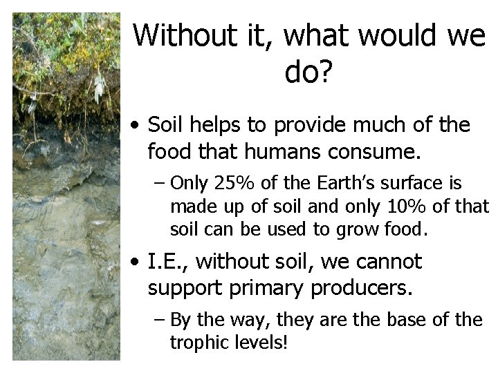 Without it, what would we do? • Soil helps to provide much of the