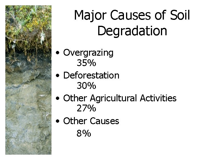 Major Causes of Soil Degradation • Overgrazing 35% • Deforestation 30% • Other Agricultural