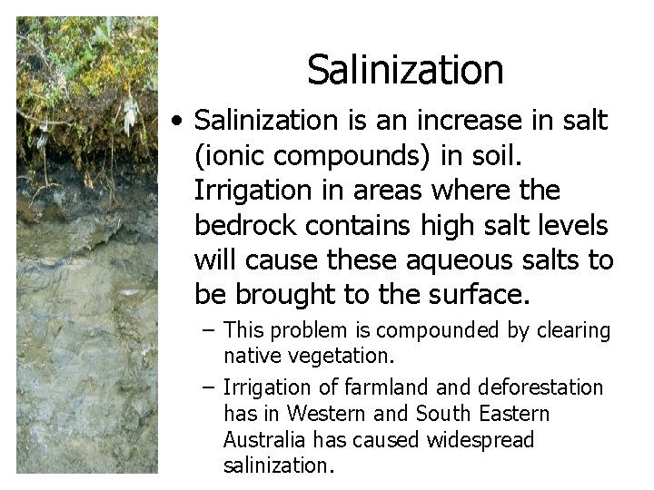 Salinization • Salinization is an increase in salt (ionic compounds) in soil. Irrigation in