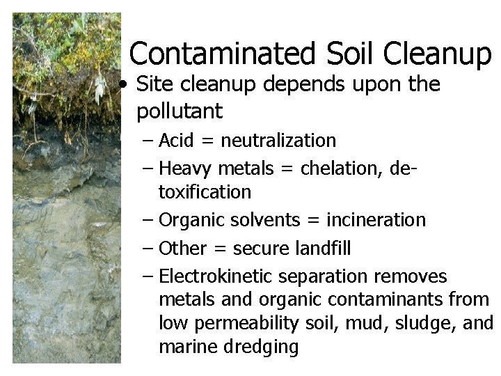 Contaminated Soil Cleanup • Site cleanup depends upon the pollutant – Acid = neutralization