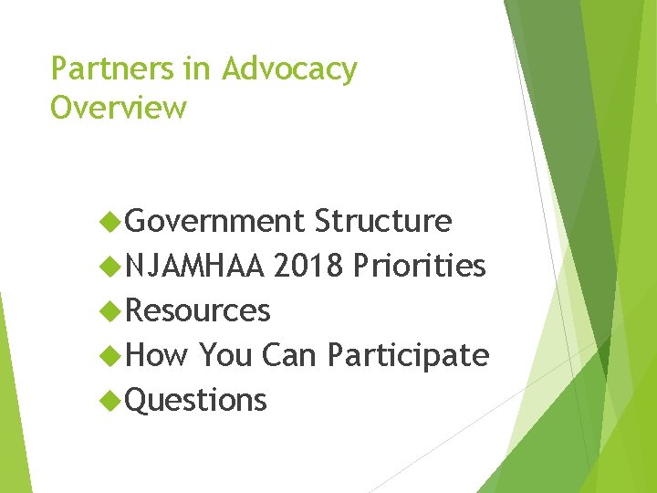 Partners in Advocacy Overview Government Structure NJAMHAA 2018 Priorities Resources How You Can Participate
