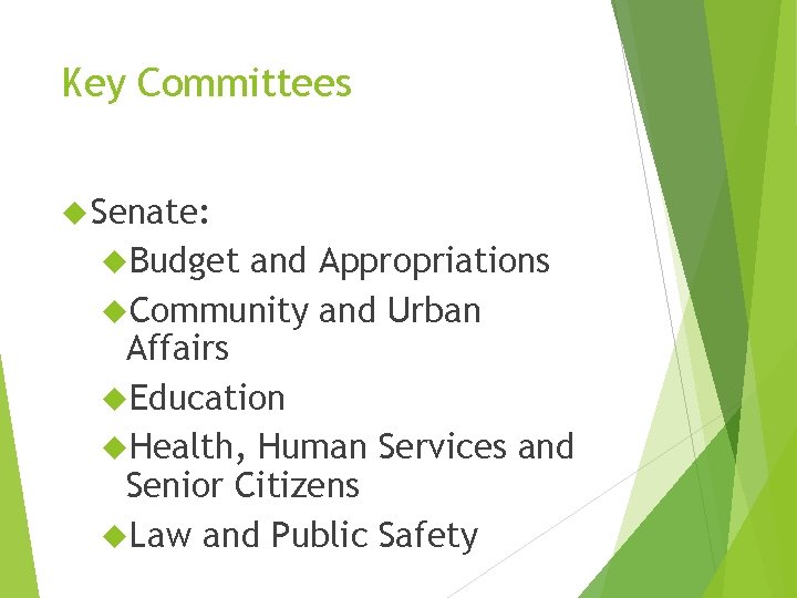 Key Committees Senate: Budget and Appropriations Community and Urban Affairs Education Health, Human Services