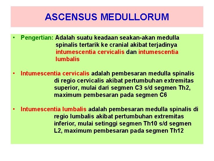 ASCENSUS MEDULLORUM • Pengertian: Adalah suatu keadaan seakan-akan medulla spinalis tertarik ke cranial akibat