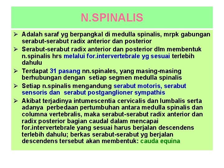 N. SPINALIS Ø Adalah saraf yg berpangkal di medulla spinalis, mrpk gabungan serabut-serabut radix