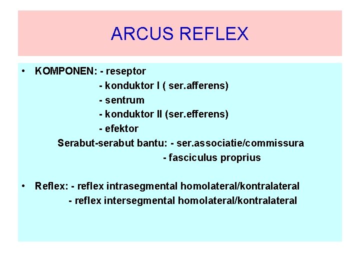 ARCUS REFLEX • KOMPONEN: - reseptor - konduktor I ( ser. afferens) - sentrum