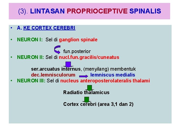(3). LINTASAN PROPRIOCEPTIVE SPINALIS • A. KE CORTEX CEREBRI • NEURON I: Sel di