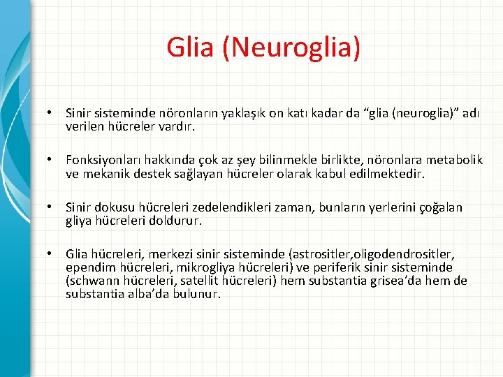 Glia (Neuroglia) • Sinir sisteminde nöronların yaklaşık on katı kadar da “glia (neuroglia)” adı
