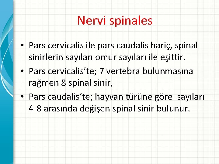 Nervi spinales • Pars cervicalis ile pars caudalis hariç, spinal sinirlerin sayıları omur sayıları