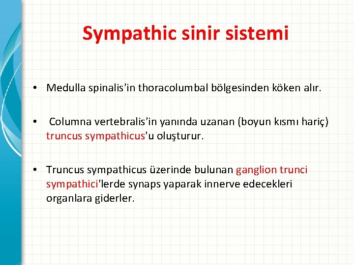 Sympathic sinir sistemi • Medulla spinalis'in thoracolumbal bölgesinden köken alır. • Columna vertebralis'in yanında